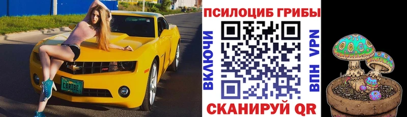 Купить где  Новоржев  Псилоцибиновые грибы MAGIC MUSHROOMS 